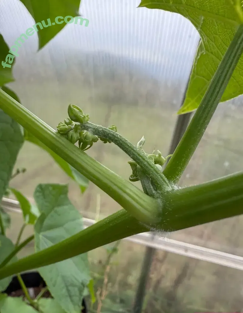 reneealeja nude photo #0002 (reneealeja)