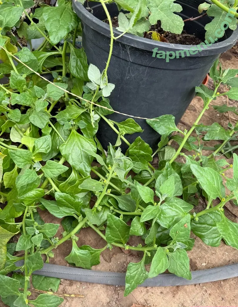 reneealeja nude photo #0009 (reneealeja)