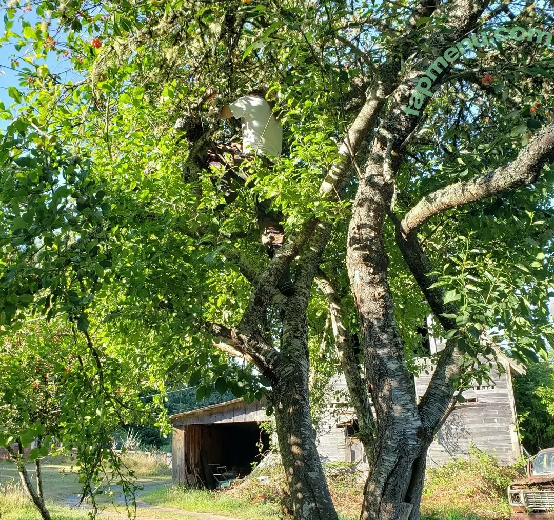 reneealeja nude photo #0012 (reneealeja)