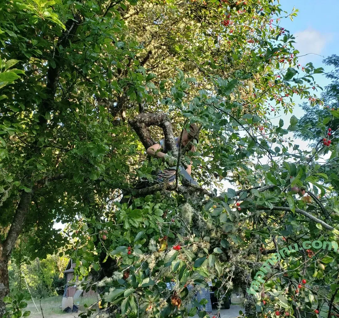 reneealeja nude photo #0013 (reneealeja)