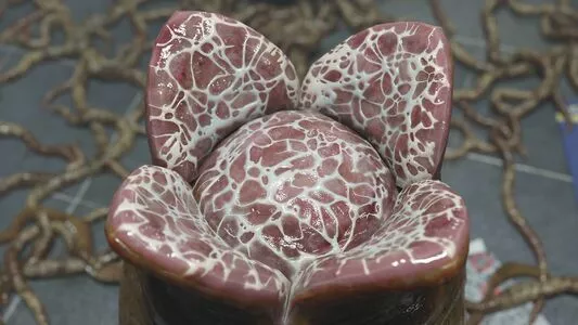 Resident Evil / residentevil nude photo #2201