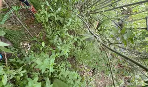 Riley Jensen / RileyxxxJensen / officialrileyjensenxo nude photo #0282