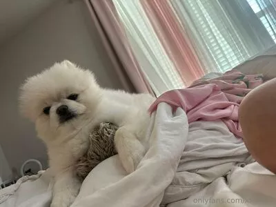 Riley Steele / rileyxinsta / xxxRiley nude photo #1193