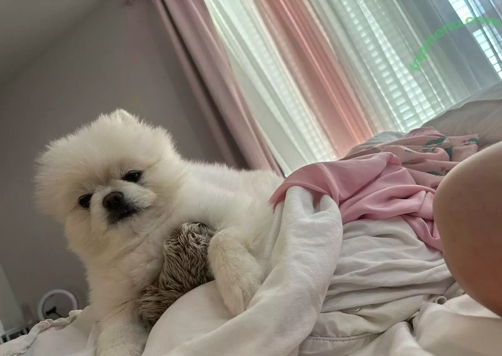 Riley Steele nude photo #1193 (rileyxinsta / xxxRiley)