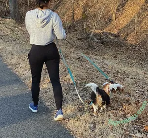 Riss Flex / itsreallyriss / rissflex nude photo #0012