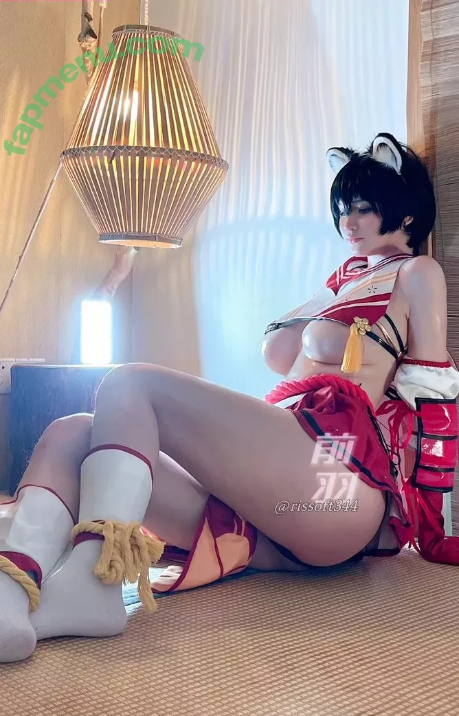 rissoft_ nude photo #0126 (rissoft344)