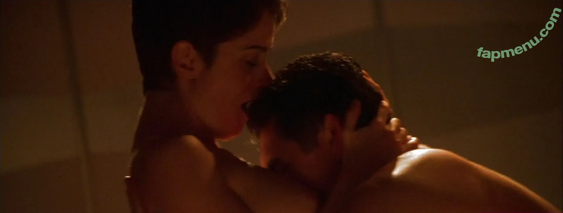 Robin Tunney nude photo #0027 (robintunney)