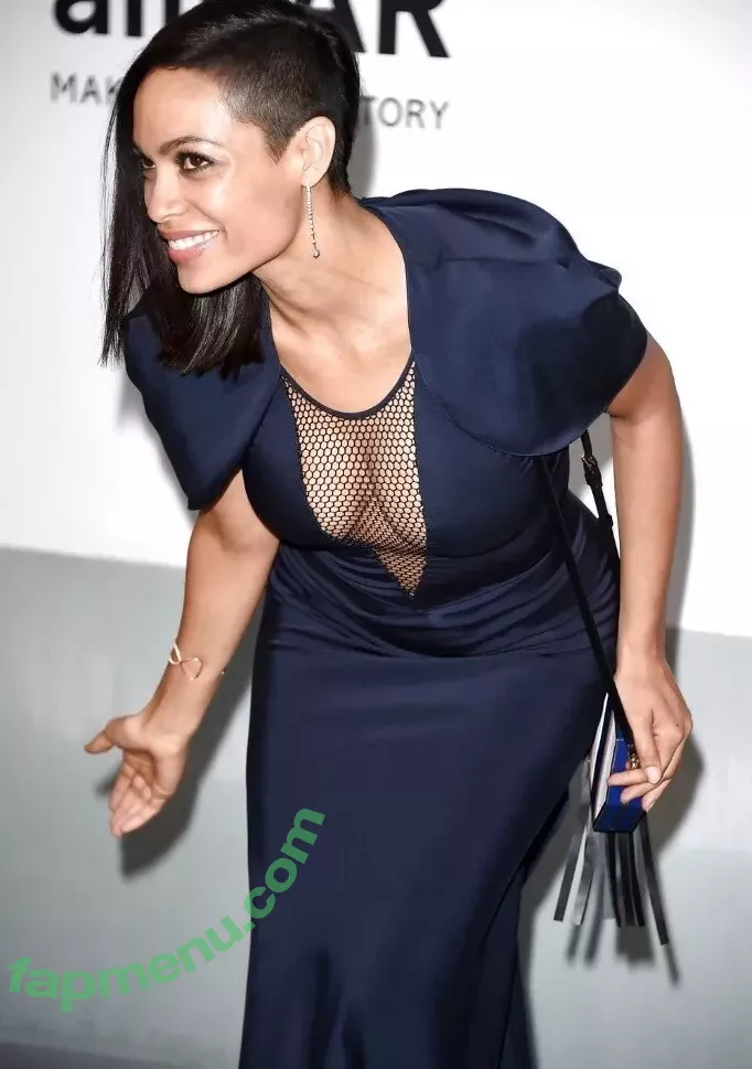 Rosario Dawson nude photo #0060 (rosariodawson / themissdawson)