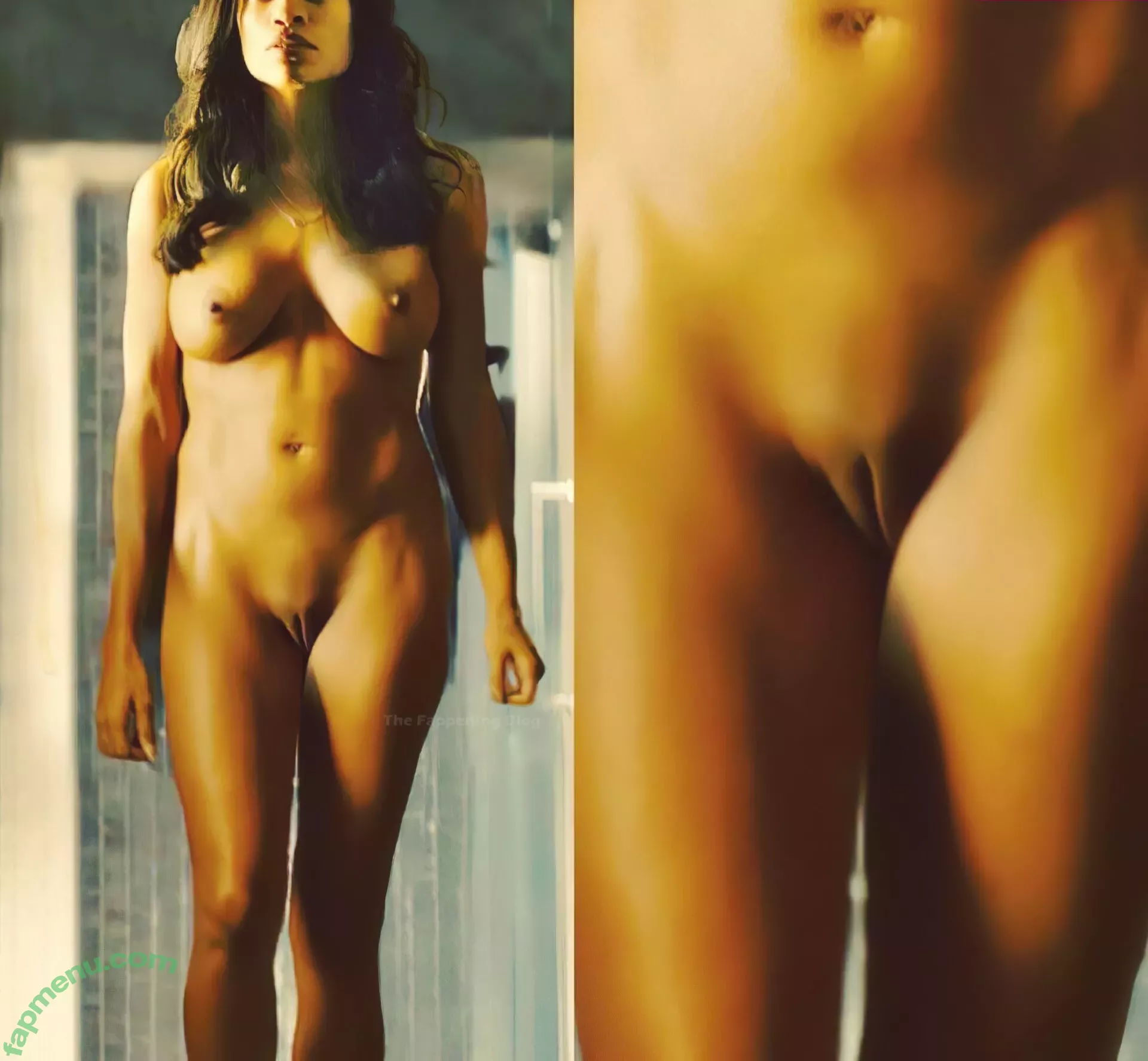 Rosario Dawson nude photo #0074 (rosariodawson / themissdawson)