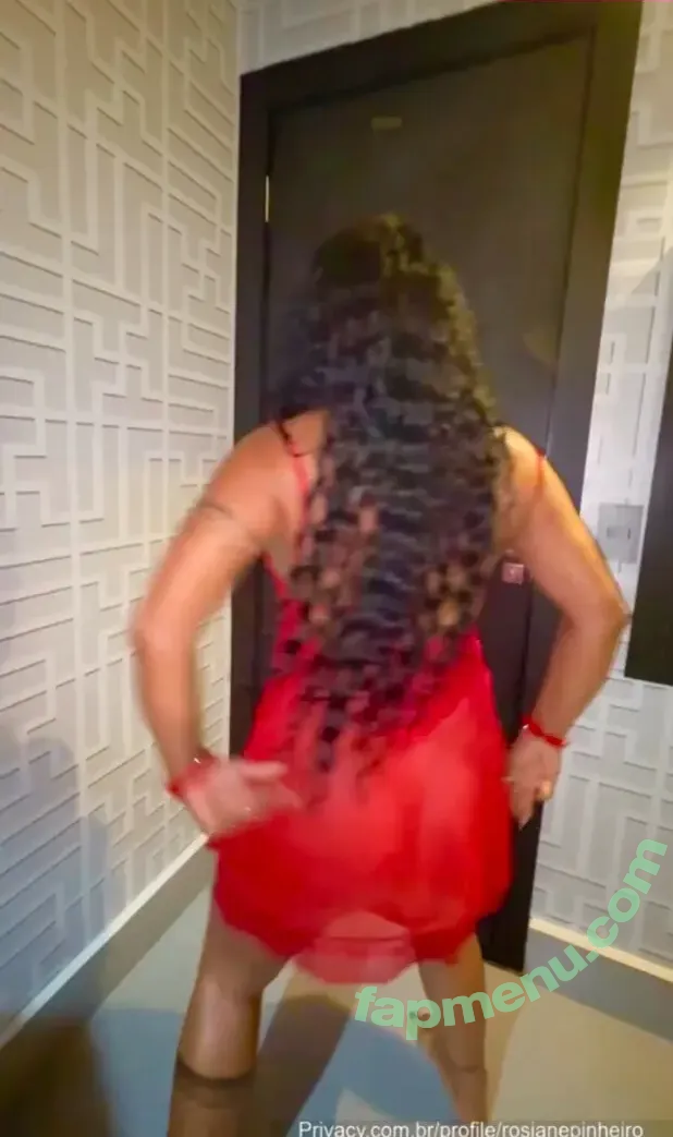 Rosiane Pinheiro nude photo #1480 (rosianepinheir / rosianepinheiro / rosypinheirotrans)