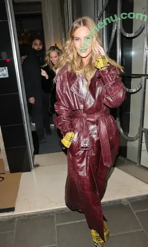 Rosie Huntington-Whiteley / Rosie Huntington Whiteley / rosiehw nude photo #1684