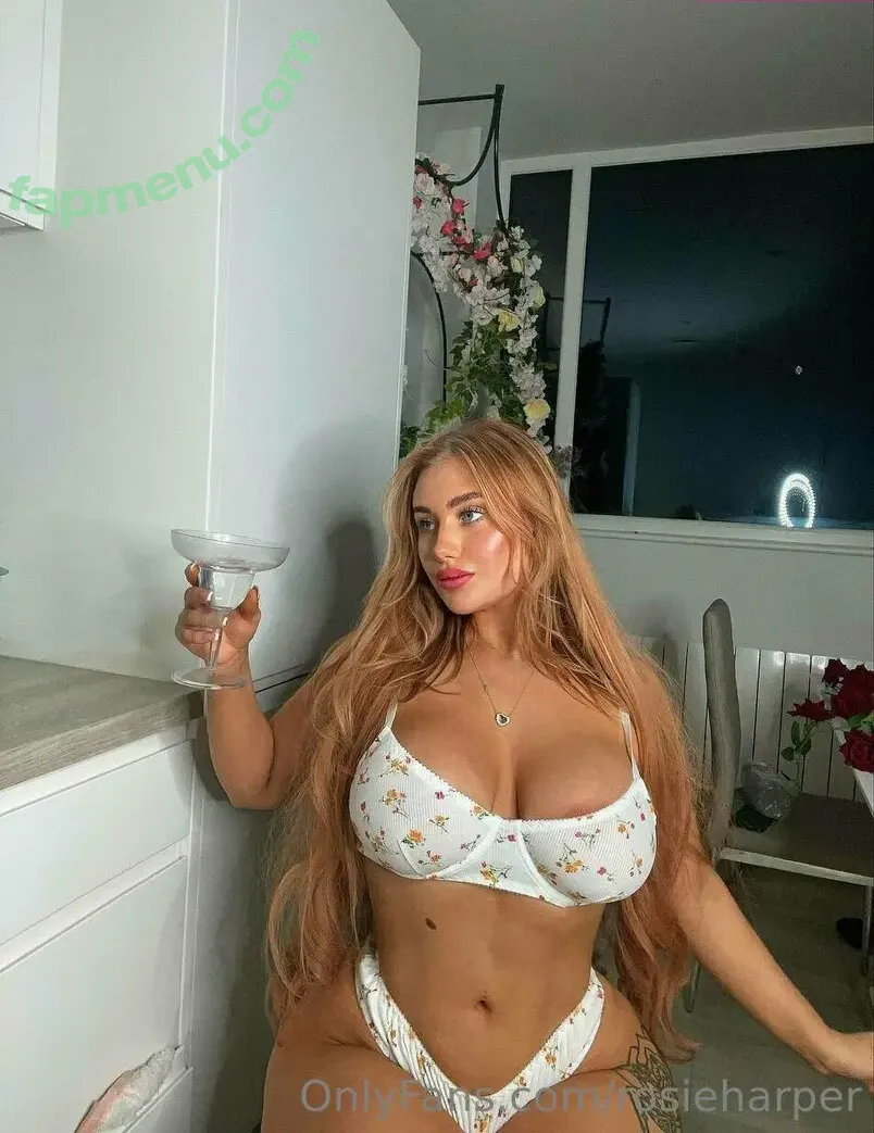 rosieeharper nude photo #0015 (howdyrosieusa)