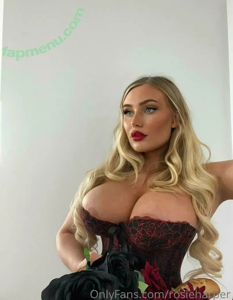 rosieeharper nude photo #0028 (howdyrosieusa)