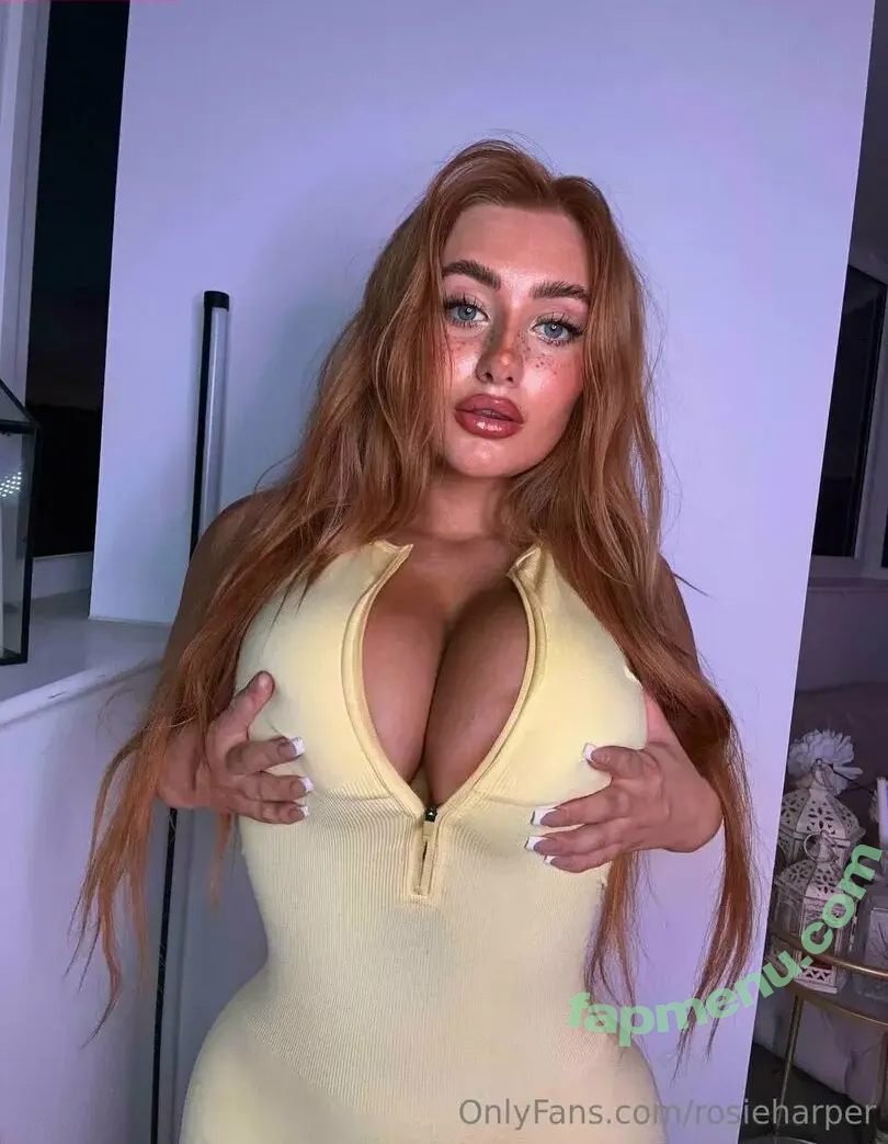 rosieeharper nude photo #0053 (howdyrosieusa)