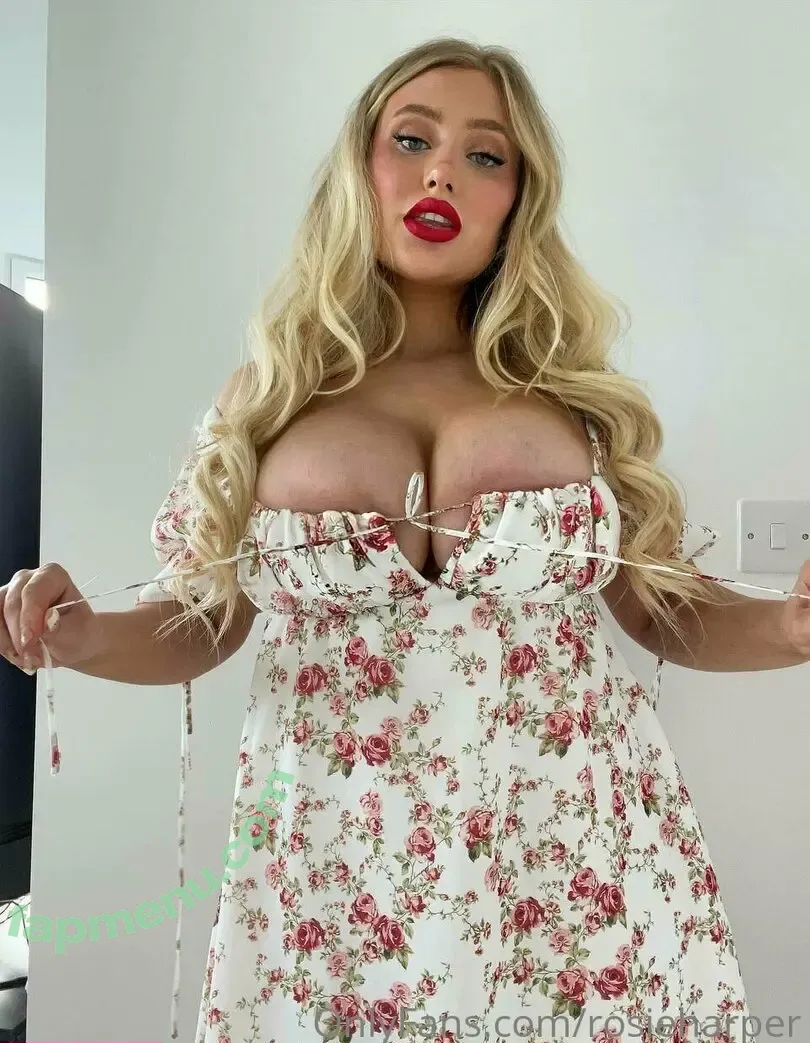 rosieeharper nude photo #0057 (howdyrosieusa)
