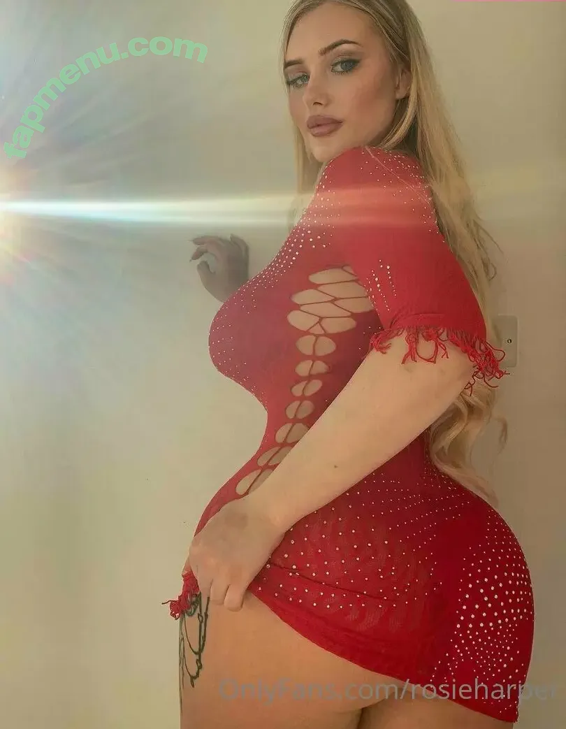 rosieeharper nude photo #0071 (howdyrosieusa)