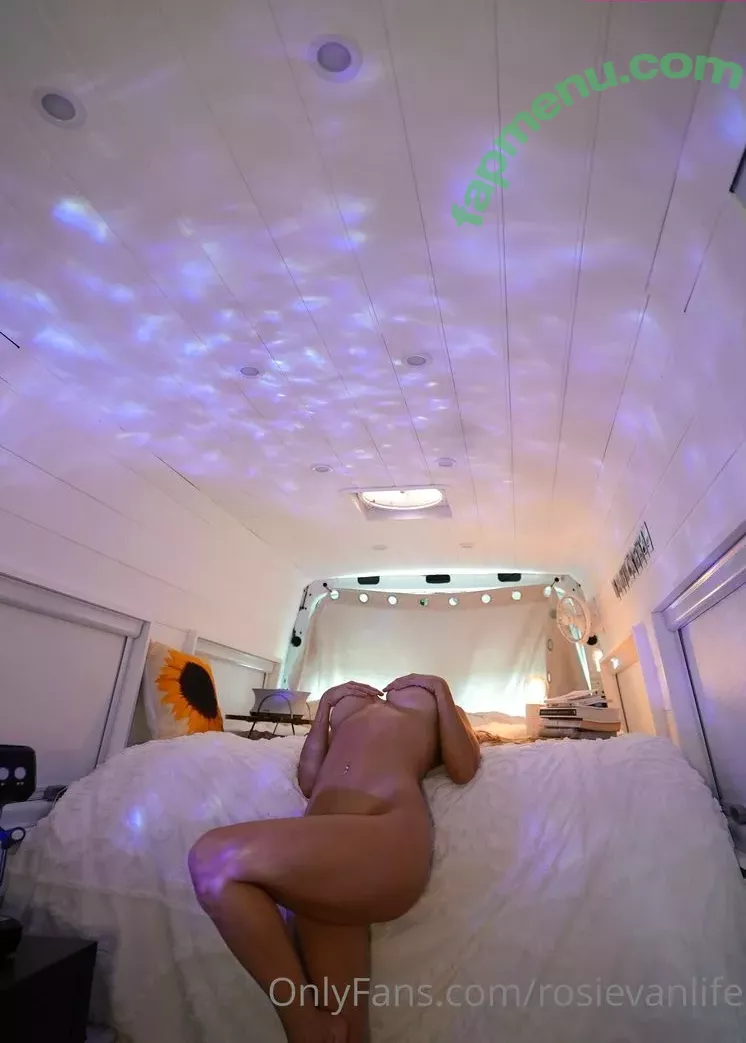 Rosievanlife nude photo #0086 (rosievan)