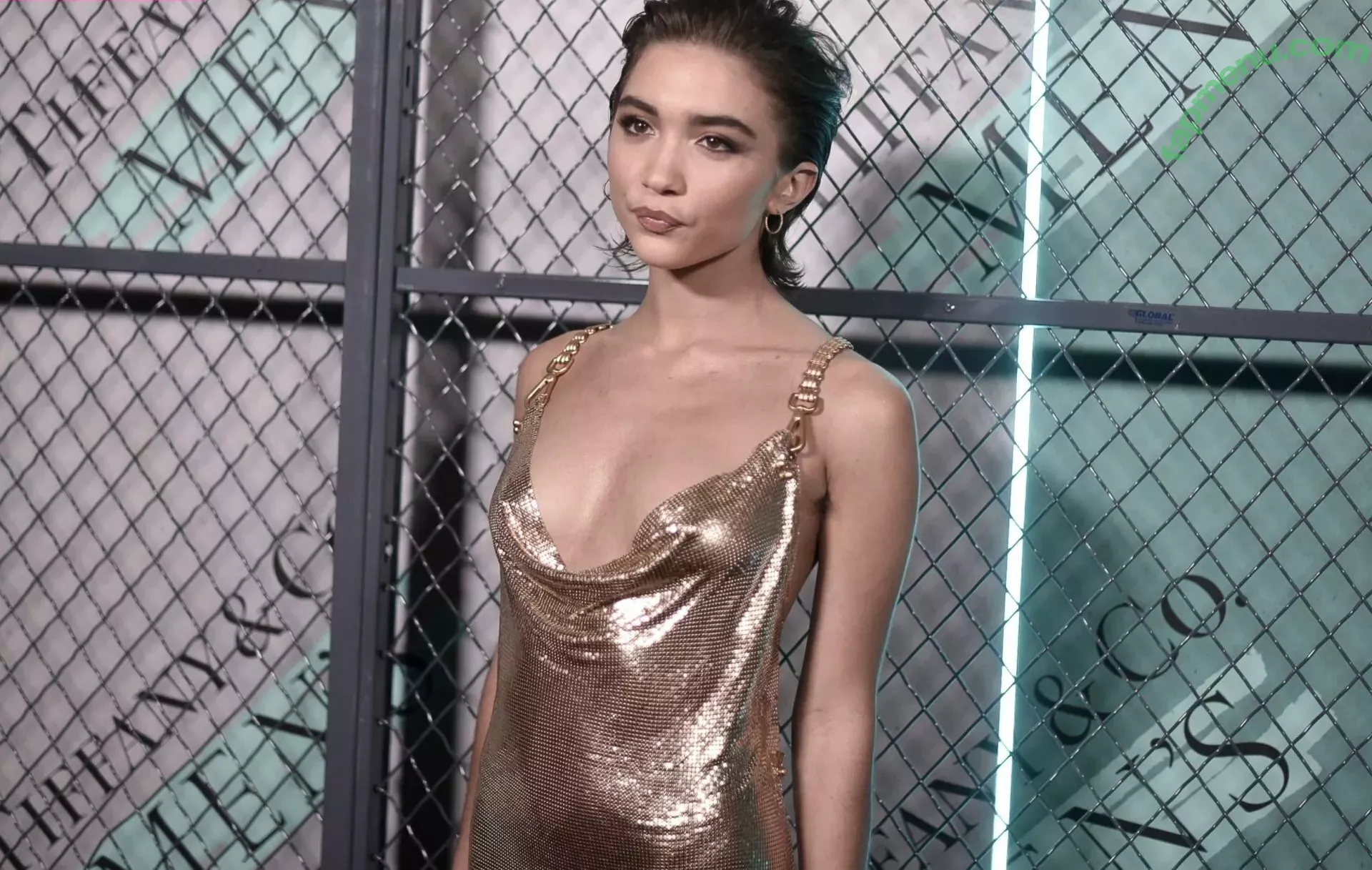 Rowan Blanchard nude photo #0206 (Simp Chat / rowanblanchard)