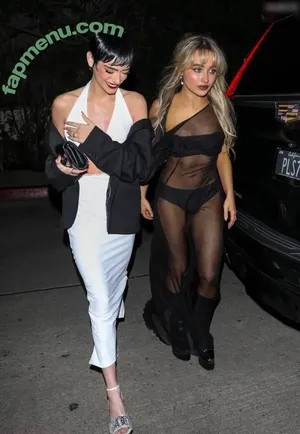 Sabrina Carpenter / sabrinacarpenter nude photo #0039