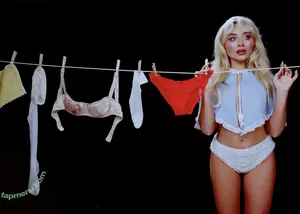 Sabrina Carpenter / sabrinacarpenter nude photo #0116