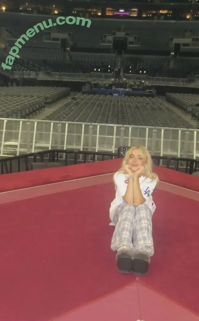 Sabrina Carpenter nude photo #1810 (SabrinaAnnLynn / sabrinacarpenter)