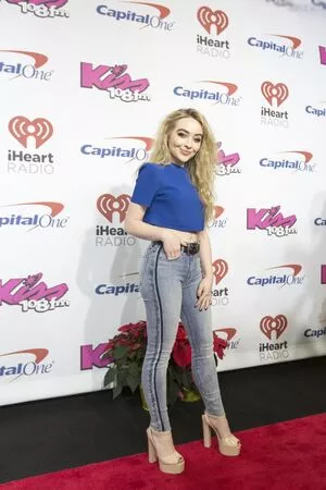 Sabrina Carpenter / sabrinacarpenter nude photo #2809