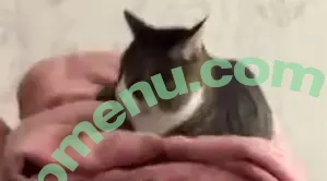 Sabrina De Martini nude photo #0943 (asabridm / sabrinademartini)