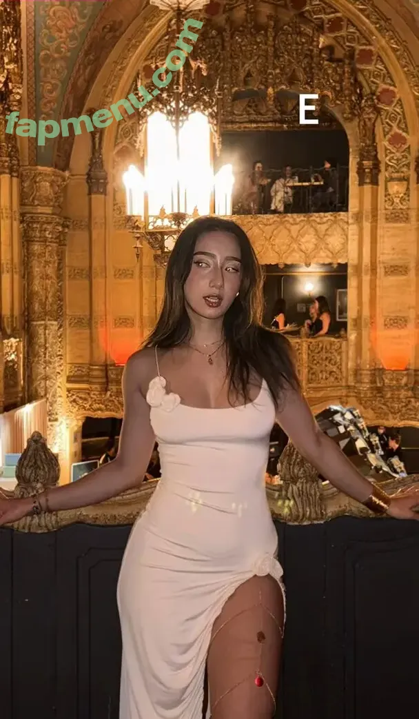 Sabrina Pezeshkian nude photo #0611 (sabababaroo / sabadabadoodle)
