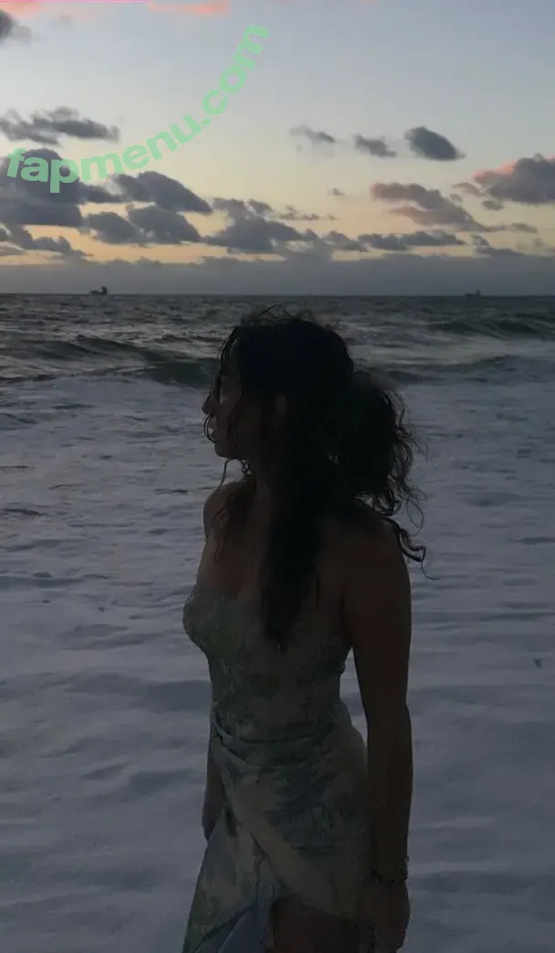 Sabrina Pezeshkian nude photo #0634 (sabababaroo / sabadabadoodle)