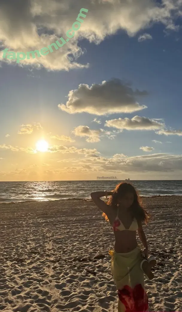 Sabrina Pezeshkian nude photo #0635 (sabababaroo / sabadabadoodle)