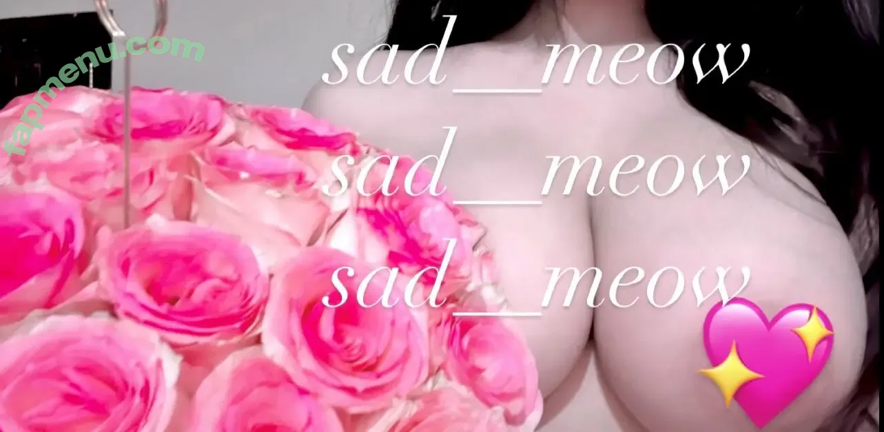 Sad_meow nude photo #0014 (sad.soft / sadmeoow)