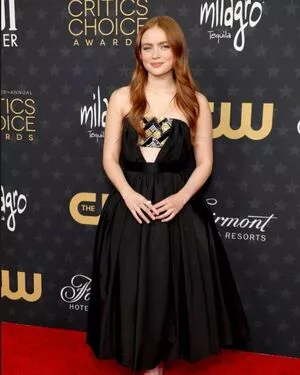 Sadie Sink / sadiesink / sadiesink_ nude photo #0376