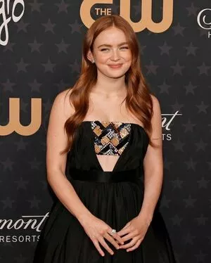 Sadie Sink / sadiesink / sadiesink_ nude photo #0378