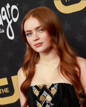 Sadie Sink / sadiesink / sadiesink_ nude photo #0379