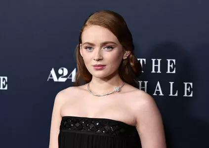 Sadie Sink / sadiesink / sadiesink_ nude photo #0571