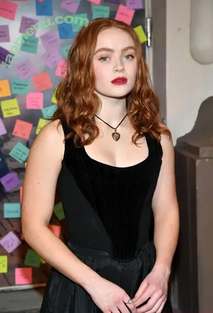 Sadie Sink / sadiesink / sadiesink_ nude photo #1486