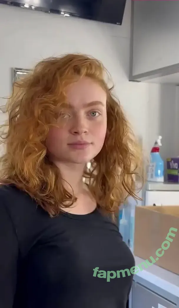 Sadie Sink nude photo #2106 (sadiesink / sadiesink_ / sadiesinkofficial)