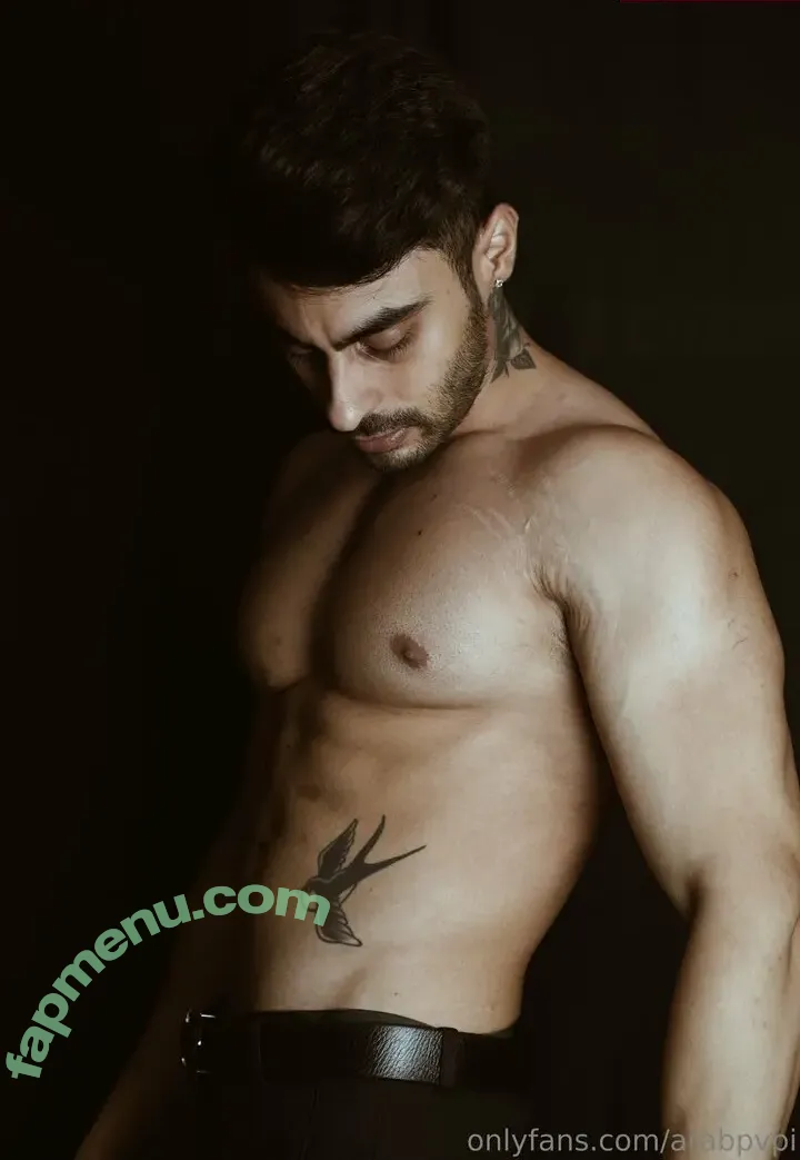 sahilkhan187 nude photo #0024 (sahilkhan187)