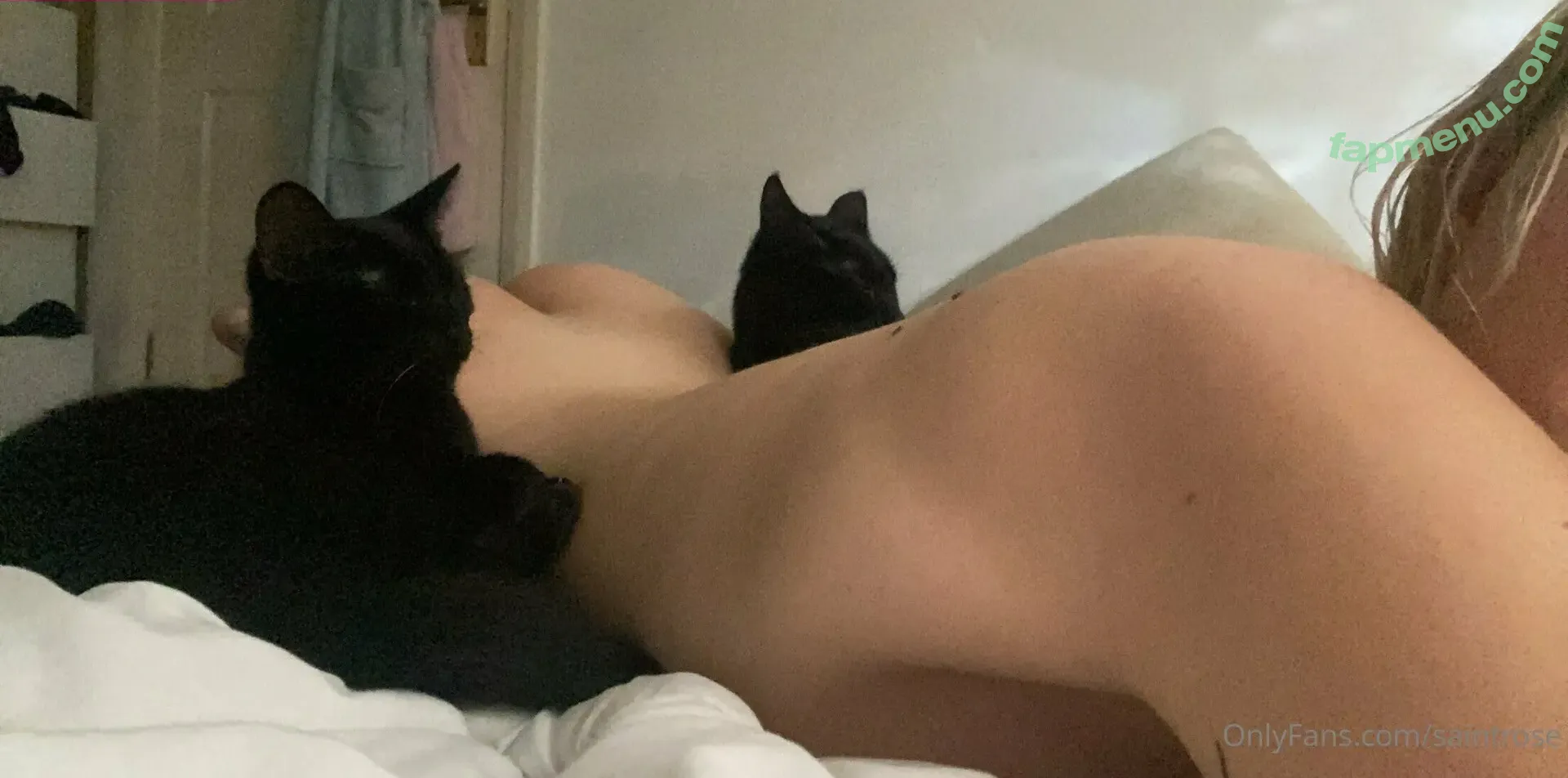 saintrose nude photo #0020 (collegeofstrose)