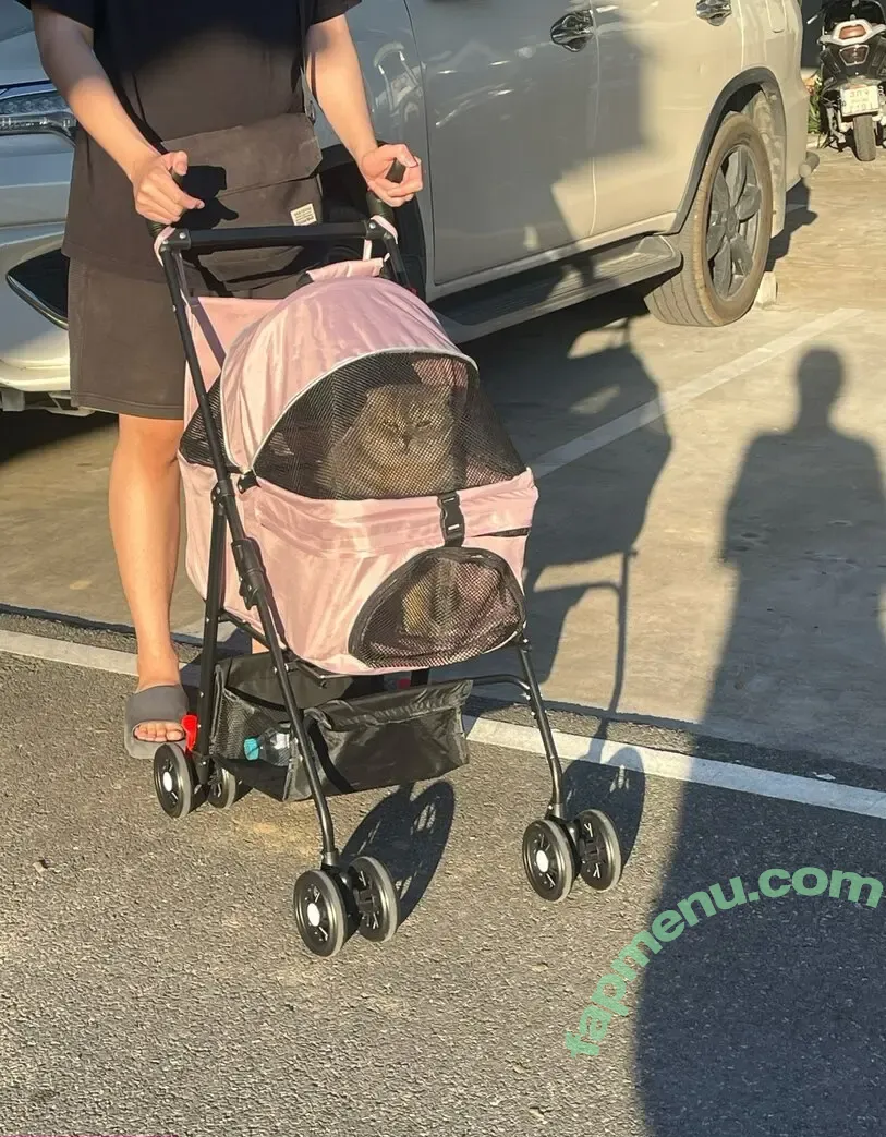 Saizneko nude photo #1356 (anyuser / saizneko_2)