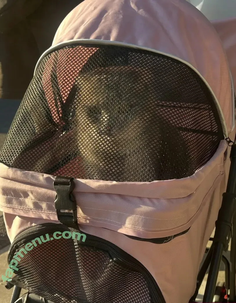 Saizneko nude photo #1357 (anyuser / saizneko_2)