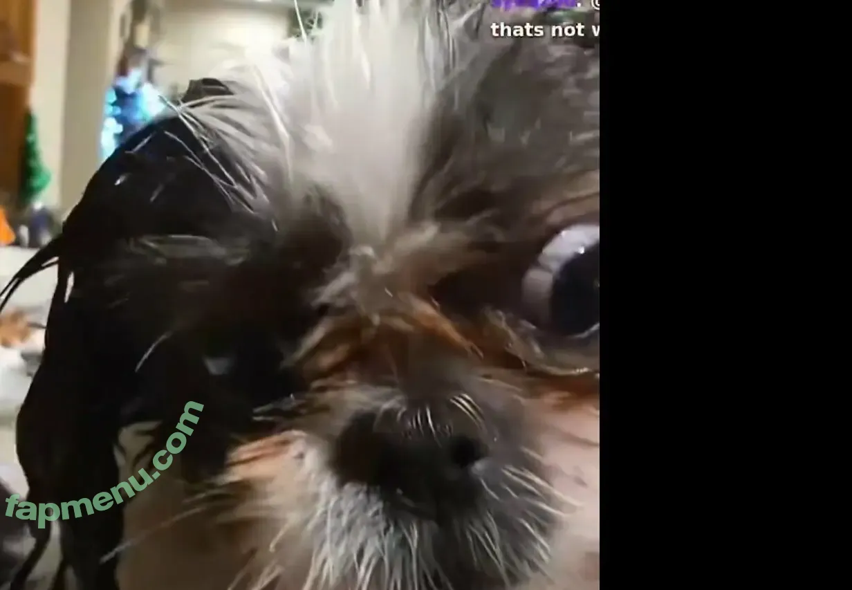 Sakura Shymko nude photo #0219 (SakuraShymko / sakurashymk)