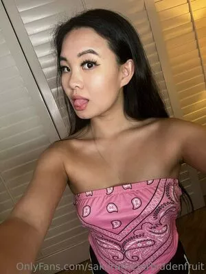 sakuratheforbiddenfruit / cherrybeen / zlightskin nude photo #0126