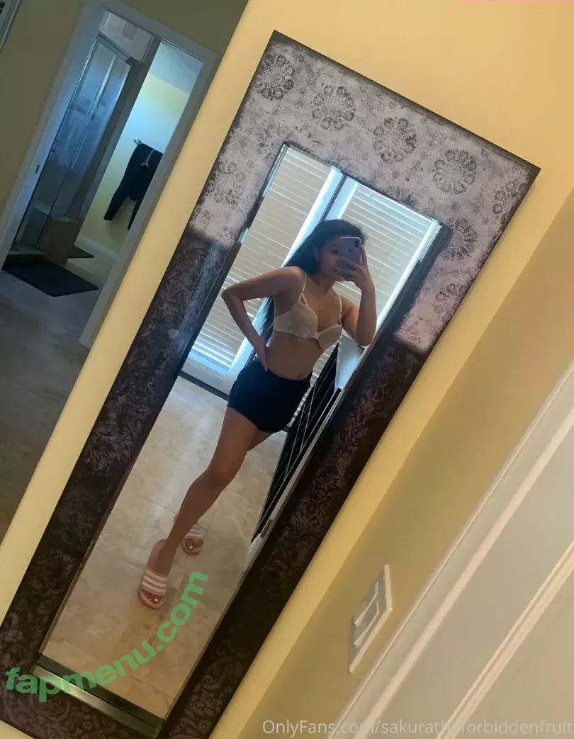 sakuratheforbiddenfruit nude photo #0057 (yourforbiddenlover_ / zlightskin)
