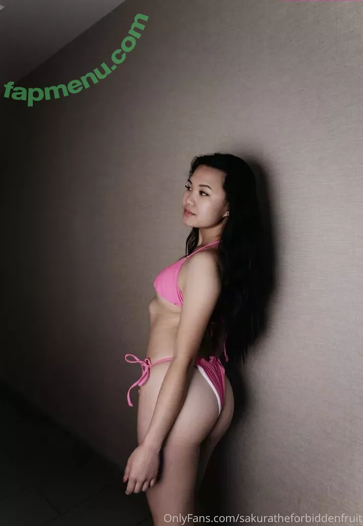 sakuratheforbiddenfruit nude photo #0090 (cherrybeen / zlightskin)