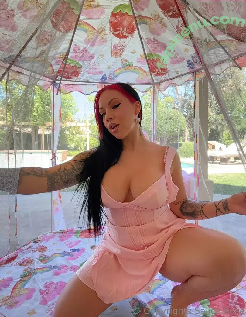 salicerose nude photo #0015 (salicerose)