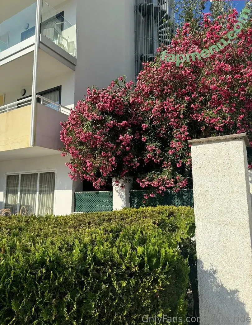 sally-ride nude photo #0081 (angelina.meow / angelina_kitty / sally_ride / sally_ride_es)