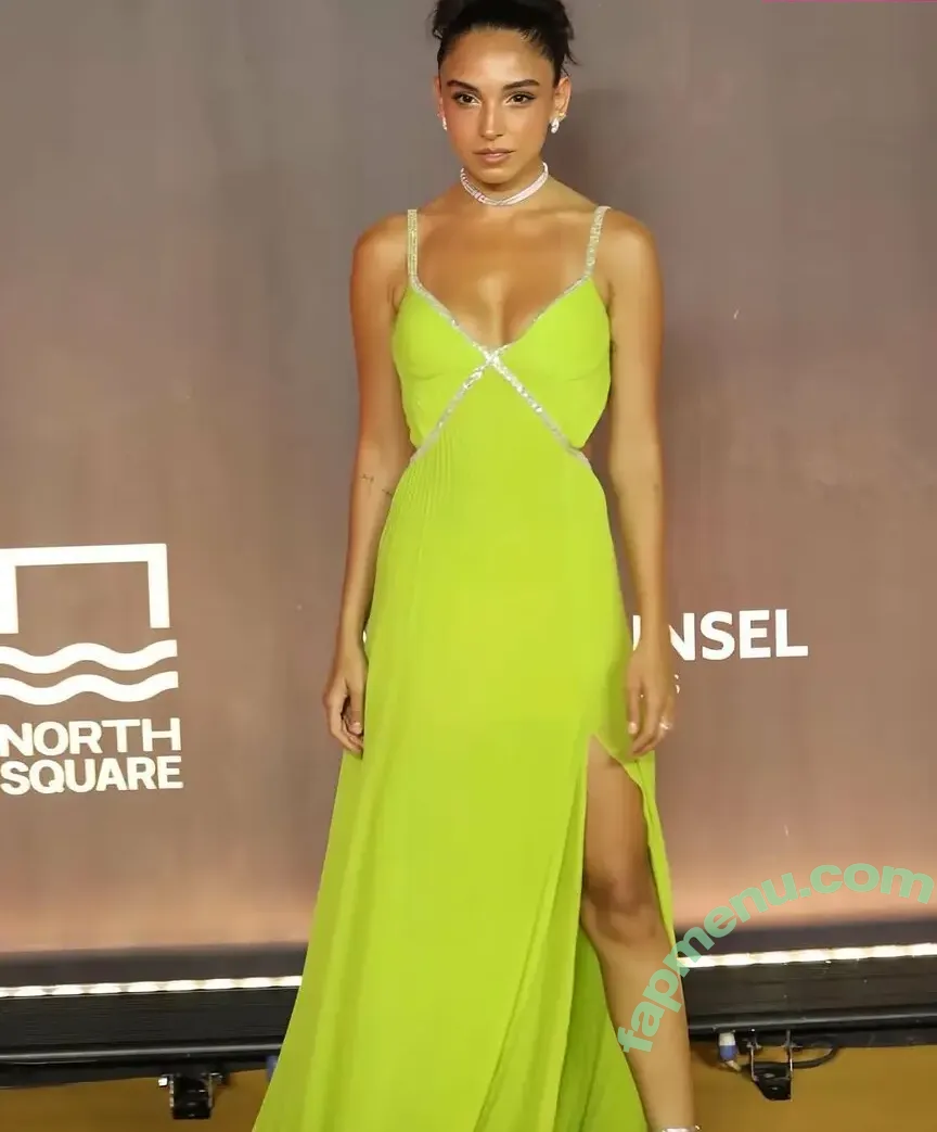 Salma Abu Deif nude photo #0049 (salmaabudeif)