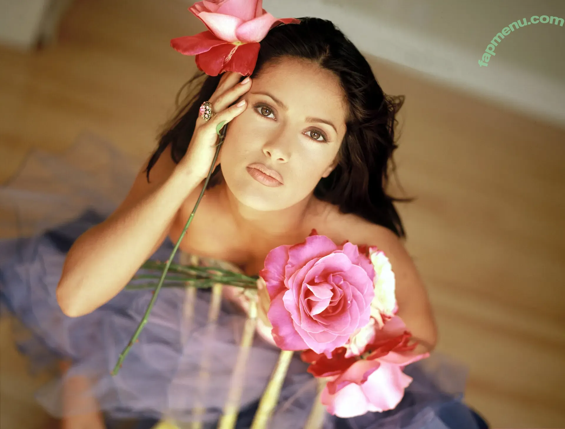 Salma Hayek nude photo #3984 (salmahayek)