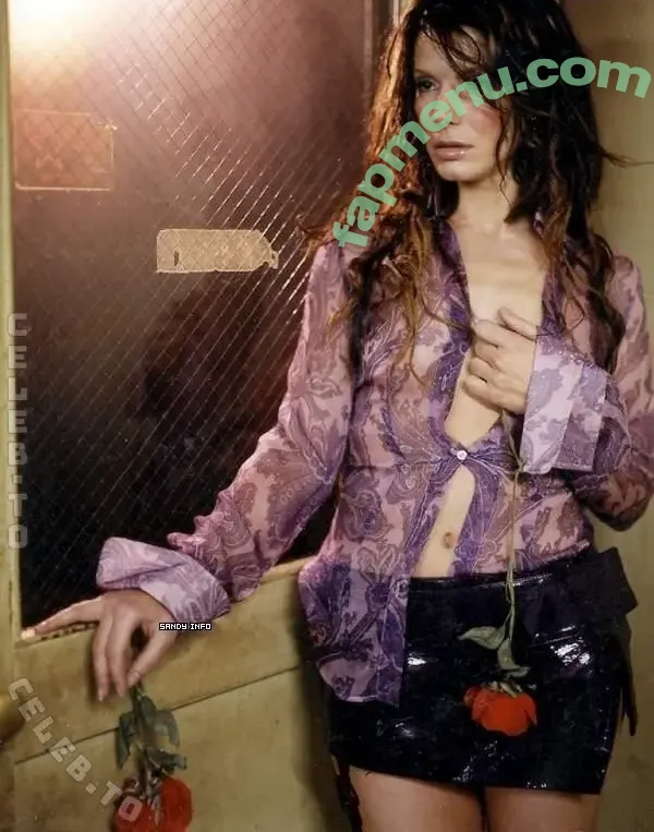 Sandra Bullock nude photo #0224 (sandra.bullock.official)